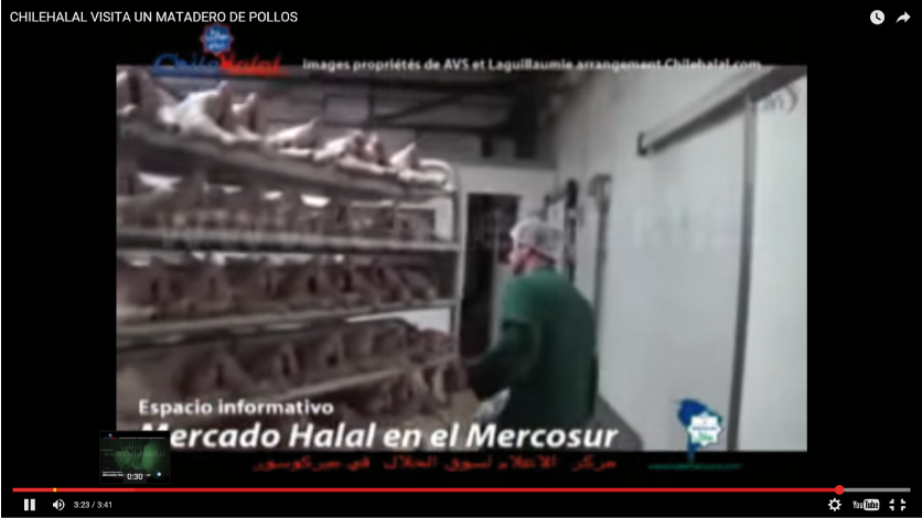 Chilehalal tiene un vídeo visto mas de 49000 veces en Youtube.