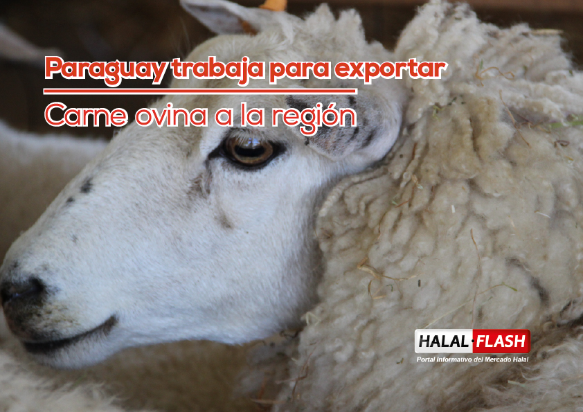 Paraguay trabaja para exportar carne ovina a la región