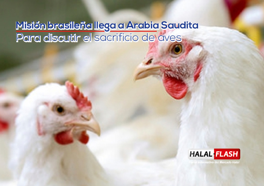 Misión brasileña llega a Arabia Saudita para discutir el sacrificio de aves “Halal”