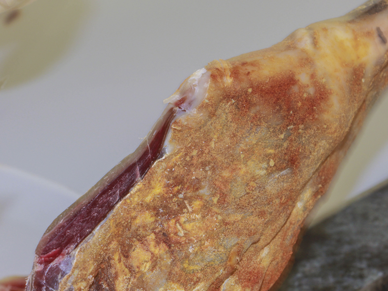 Como hacer Jamón de cordero “Halal” al estilo Jamón Serrano