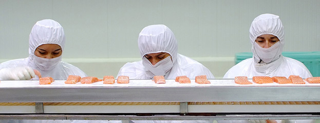 Una empresa salmonera chilena en el sur de Chile “Yadran”