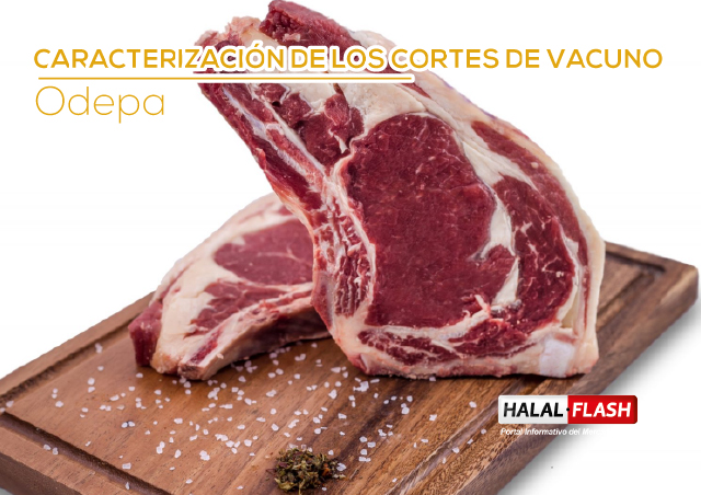 CARACTERIZACIÓN DE LOS CORTES DE VACUNO
