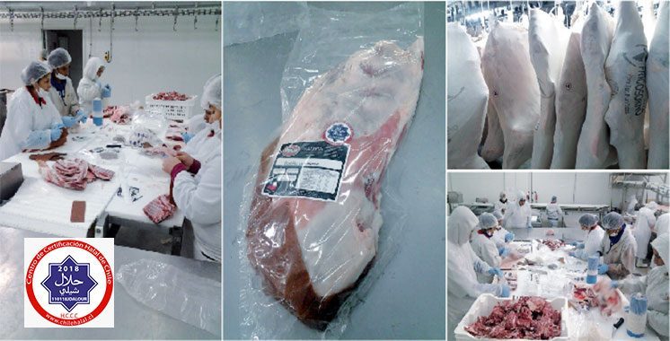 AMÉRICA LATINA ESTÁ CONSIDERANDO EL MERCADO DE CARNE HALAL (Journal: Aujourd’hui Le Maroc)