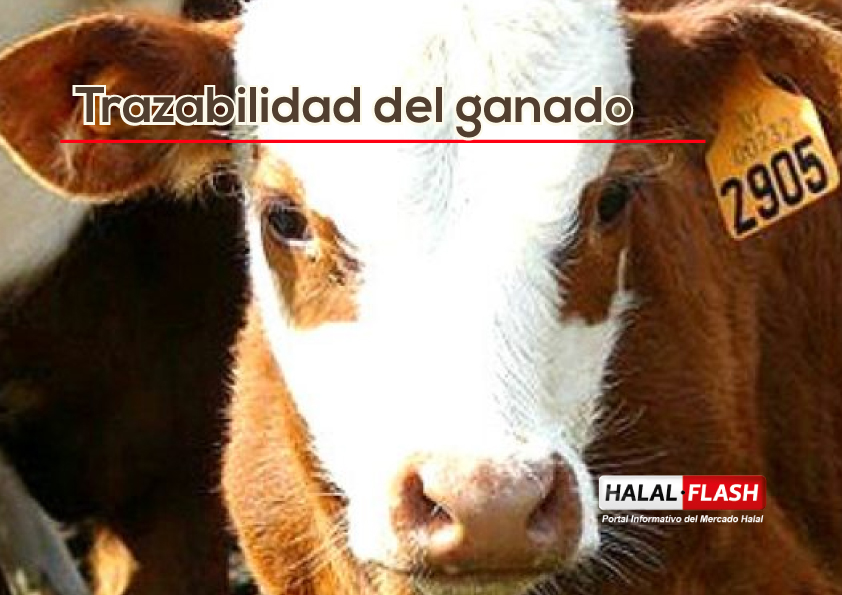 Chile prioriza la trazabilidad animal mediante una nueva iniciativa