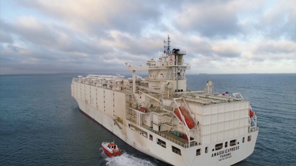 Gobierno de Australia retira licencia a su mayor exportador de ovejas tras conocer crueles condiciones de transporte