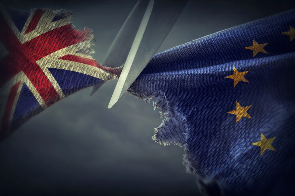 Apoyo gubernamental solicitado por los criadores de ovinos británicos.
