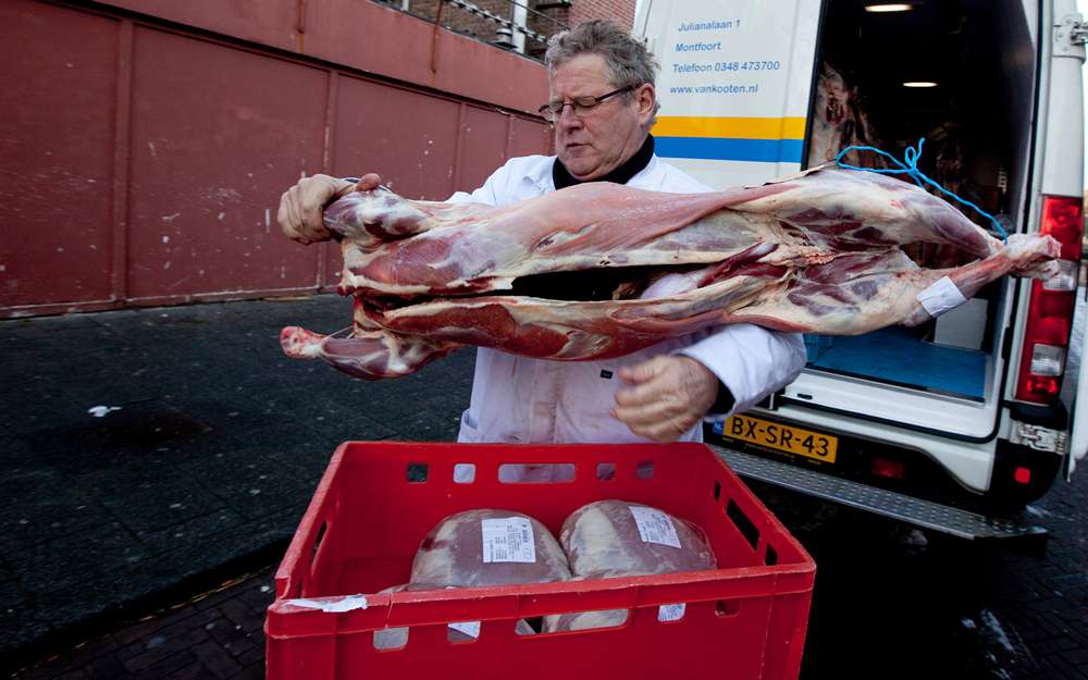 Prohibición en Bélgica del faenado kosher tiene a los judíos preocupados por lo que vendrá después