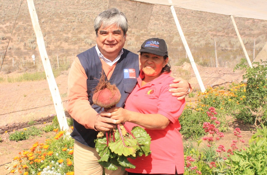 INDAP DESTACA LABOR DE PRODUCTORA AGROECOLÓGICA MARIANA LAZCANO EN SU HUERTO DE LA SERENA