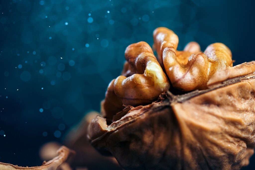 Las nueces son el 8° alimento más exportado de la región y envíos aumentaron 2% en un año