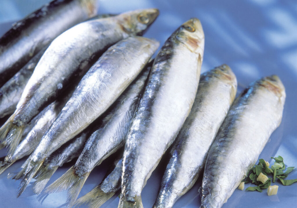 Eslovenia consumió su suministro anual de pescado en solo un mes y medio.