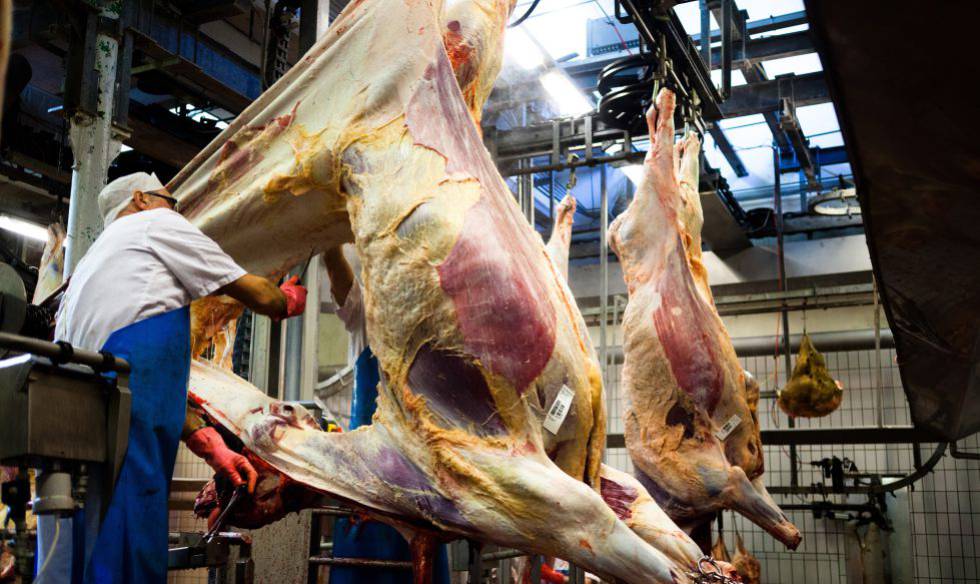 “El número de empresas certificadas Halal en Grecia está creciendo” – EXCLUSIVO