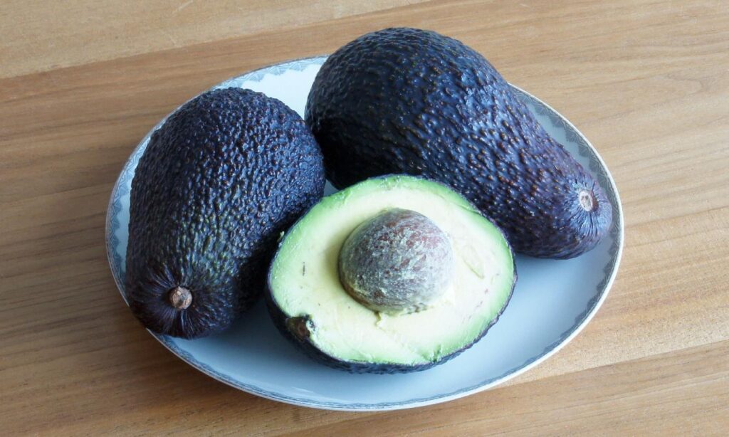 Australia espera cifra récord de 95 mil toneladas de palta Hass durante la presente temporada
