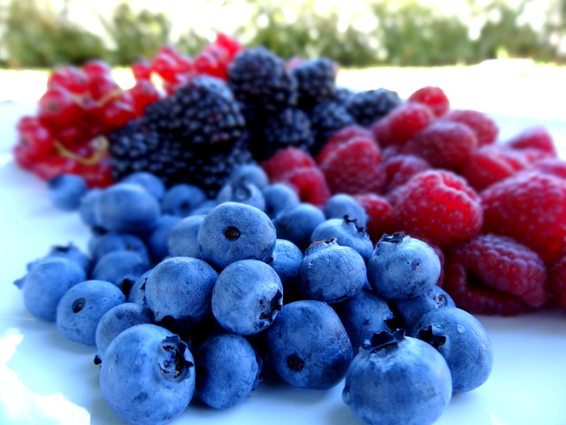 Hortifrut se alía con BFruit, líder de producción de berries frescos en Portugal