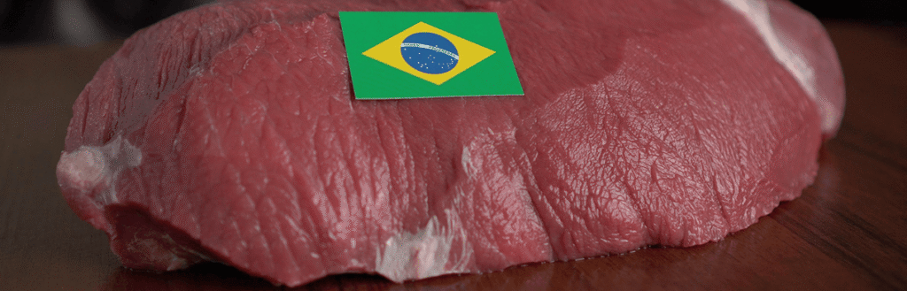 La Cámara de Comercio Árabe-Brasileña promueve un proyecto de blockchain para el sector avícola brasileño