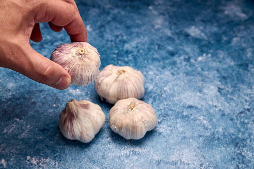 DESARROLLAN UN AJO BLANCO PARA EL MERCADO INTERNACIONAL