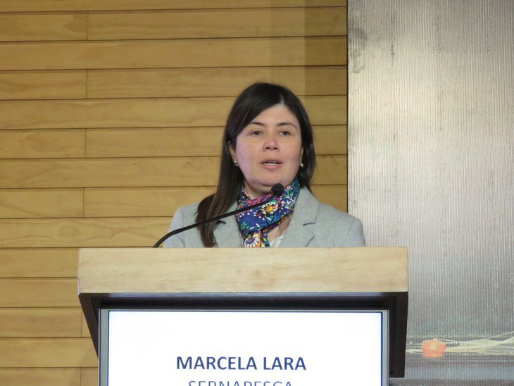 Sernapesca modifica programas para el control de antimicrobianos en salmón