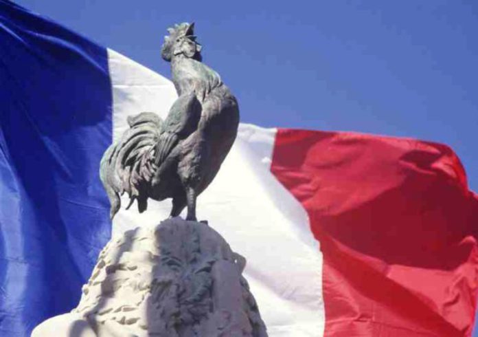 Arabia Saudita prohíbe las importaciones de aves de corral de Francia