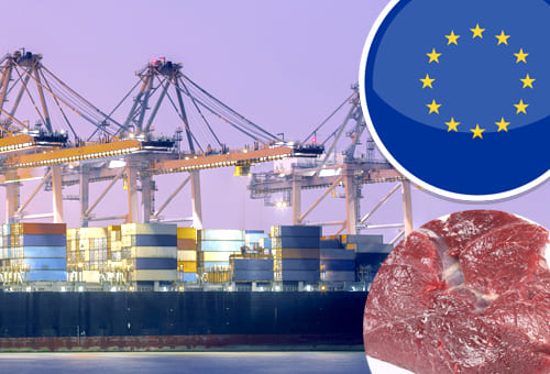 La producción de carne de vacuno en la UE está cayendo