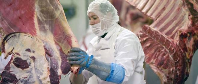 La industria cárnica británica se enfrenta a una enorme falta de trabajadores
