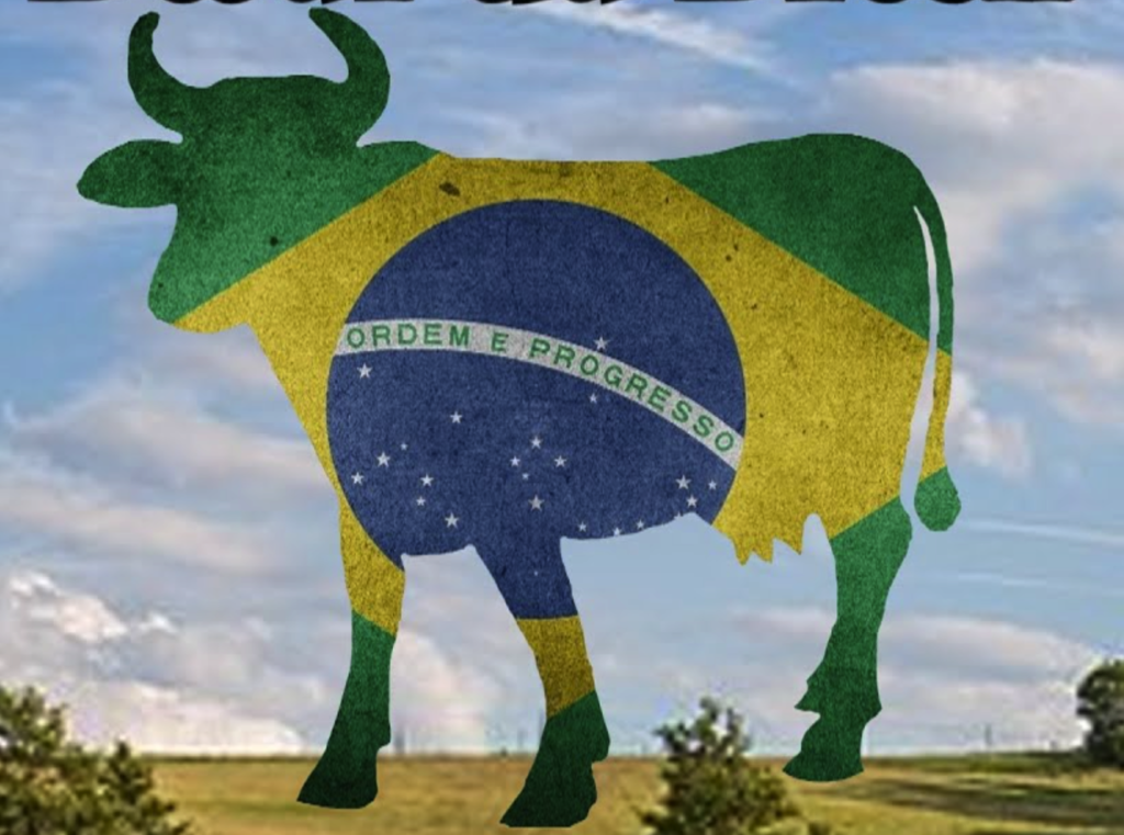 Los minoristas europeos están boicoteando la carne de vacuno brasileña