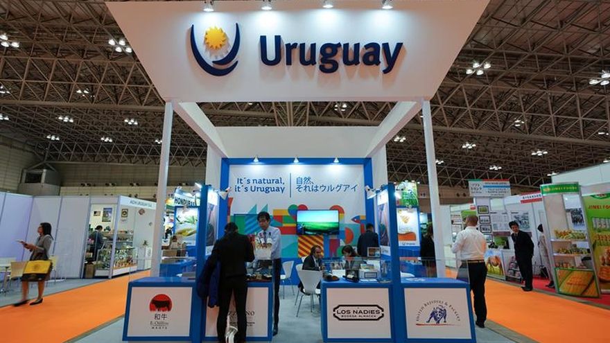 Cifras destacadas de las exportaciones de carne vacuna uruguaya