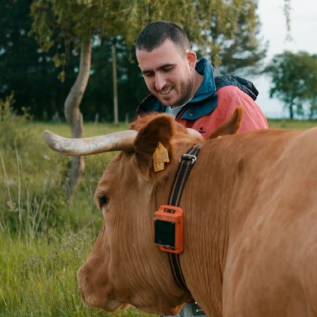 Adiós al mugido, llegan las vacas parlantes