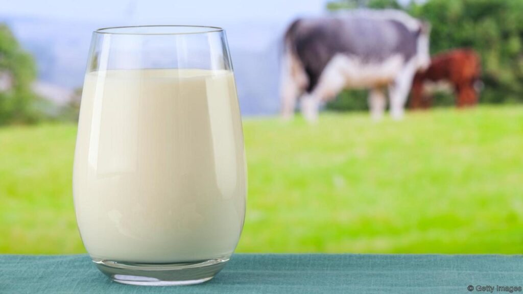 Uruguay mejoró el precio de leche al productor