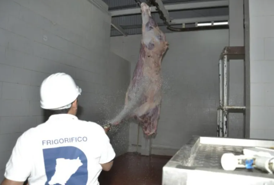 Frigorífico se afianza en el mercado internacional con carne ovina