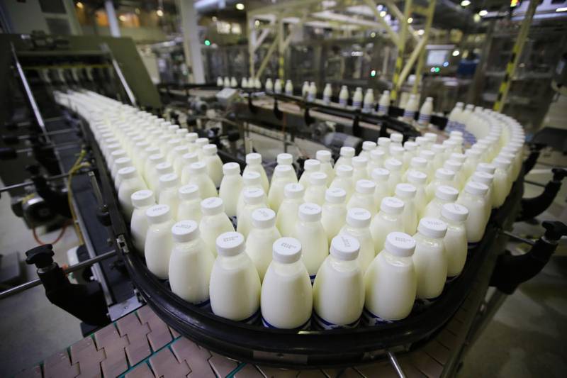 Exportaciones de lácteos chilenos crecen un 35%