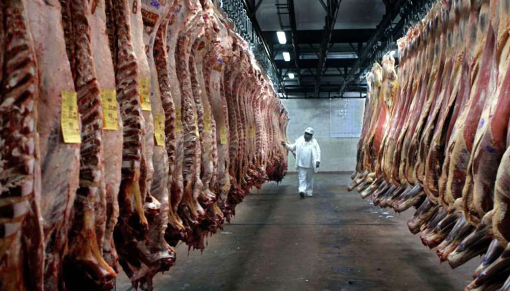 Carne paraguaya a Chile: menos ventas, mejor promedio y descuido de Brasil