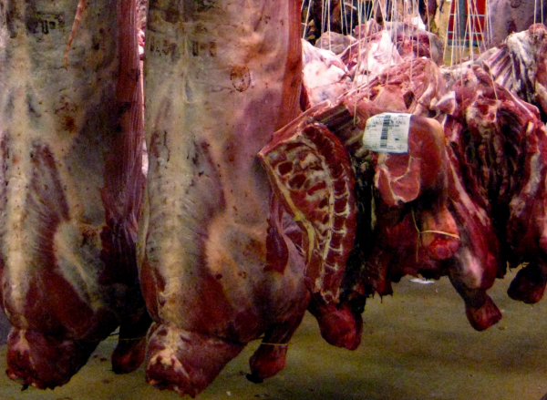 Buen arranque para la exportación de carne en 2023: Suben 20% los precios que paga China y 50% los que paga Europa