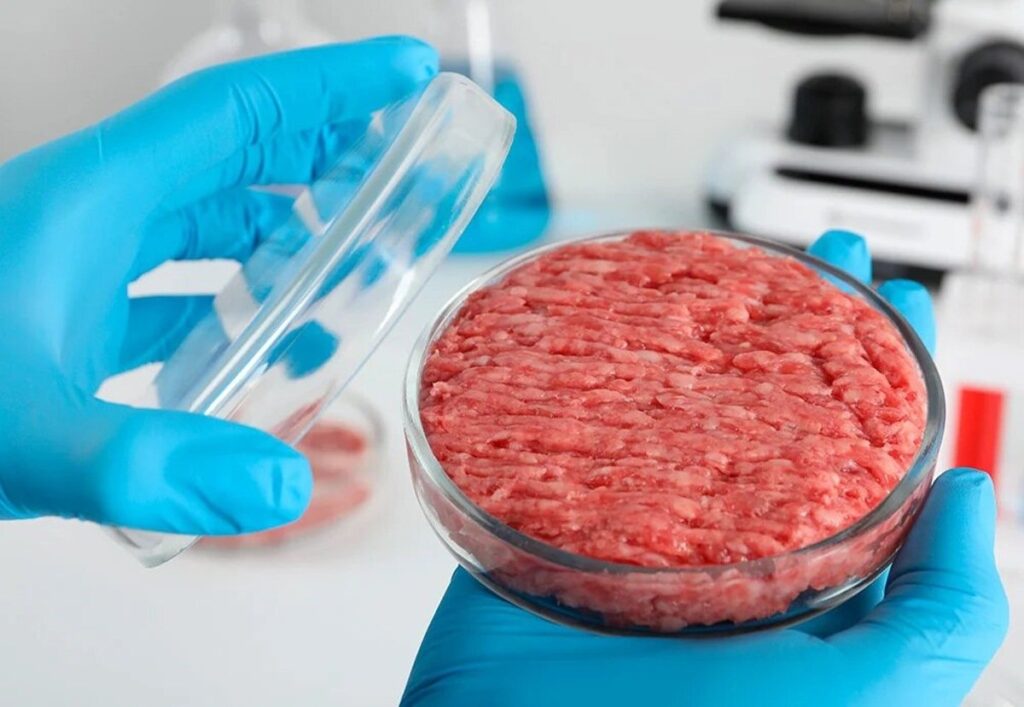 Una startup tecnológica chilena produce una línea de biosanitizantes capaz de prolongar la vida útil de la carne fresca