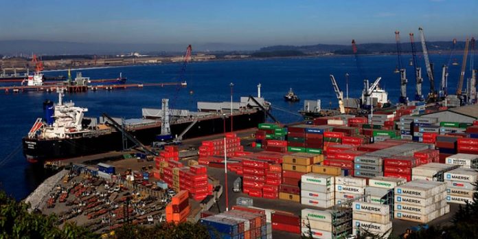 Destacado en prensa: “Envíos de fruta fresca a China alcanzan cifra récord en 2022 y Chile se posiciona como el segundo mayor proveedor del gigante asiático”