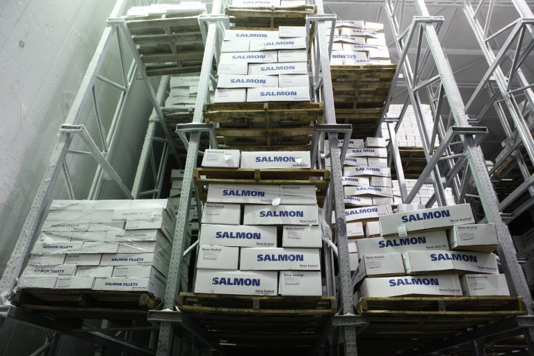 Estancamiento de la industria: Los necesarios cambios normativos que requiere la salmonicultura