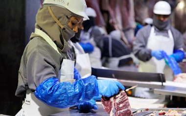 TPP 11 : Productores de carne de ganado bovino adelantan mejoras en el mercado chileno