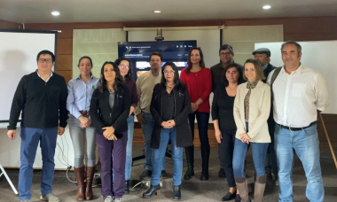 Buscan fomentar la exportación de carne y productos cárnicos de la región chilena de Los Lagos