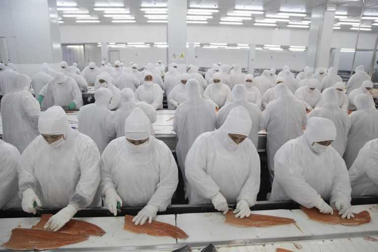 Destacaron los resultados de la trazabilidad pesquera en todo el país