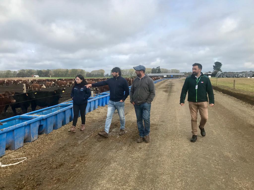 AG SUPERVISA CONDICIÓN SANITARIA DE BOVINOS