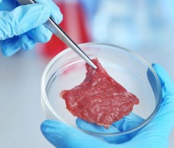 Malasia está lanzando su primera instalación de carne cultivada en laboratorio