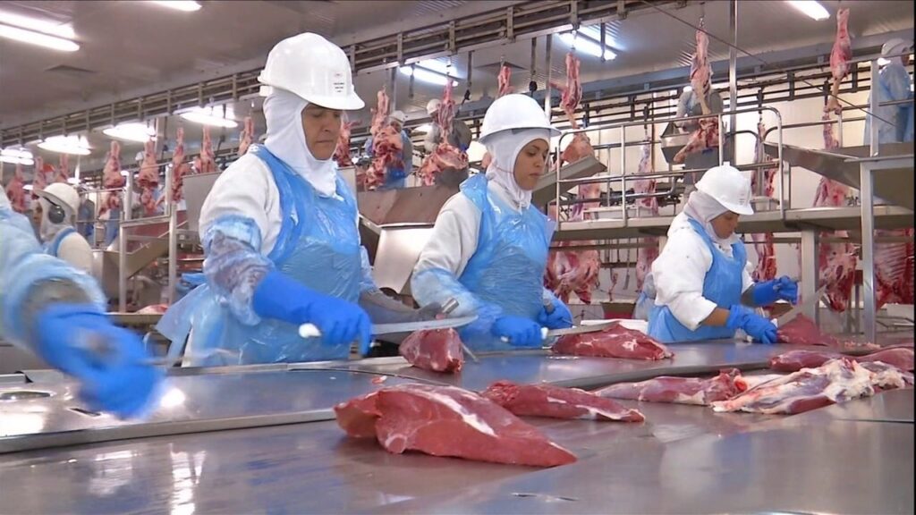 Nueva Zelanda: Se espera que caigan los márgenes de beneficio de las granjas de ganado ovino y vacuno