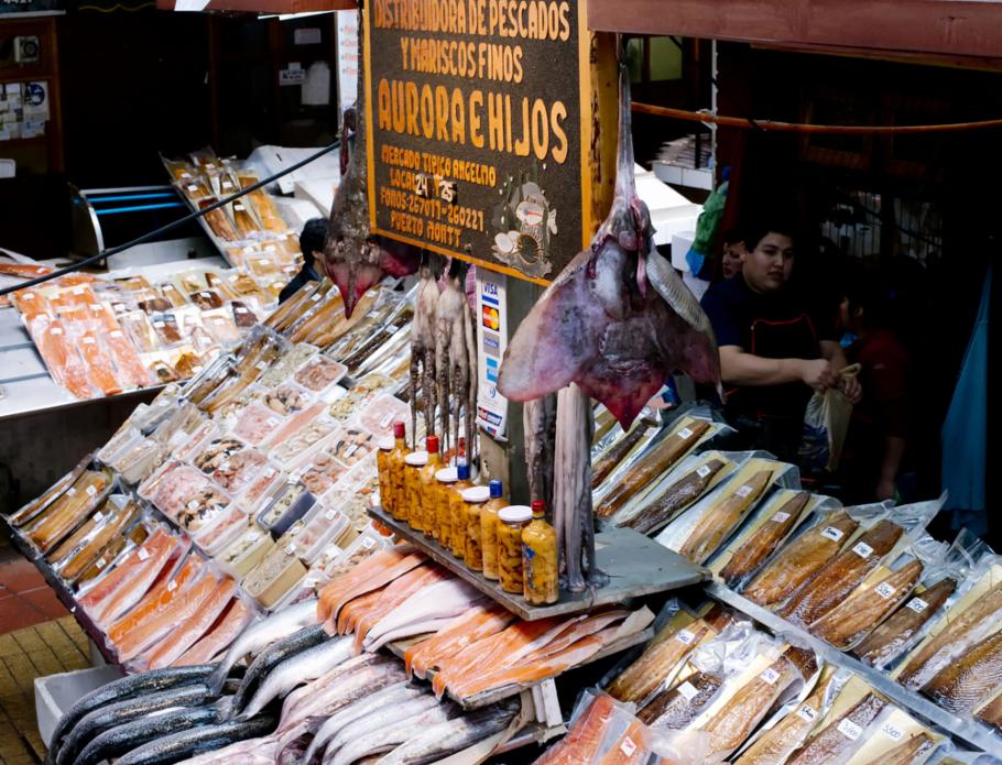Acuicultura chilena: Conquistando nuevos horizontes