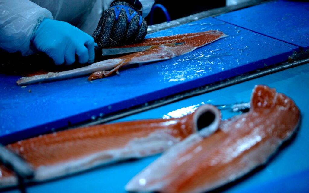 Noruega: Fuerte crecimiento del valor de las exportaciones de productos pesqueros de noviembre