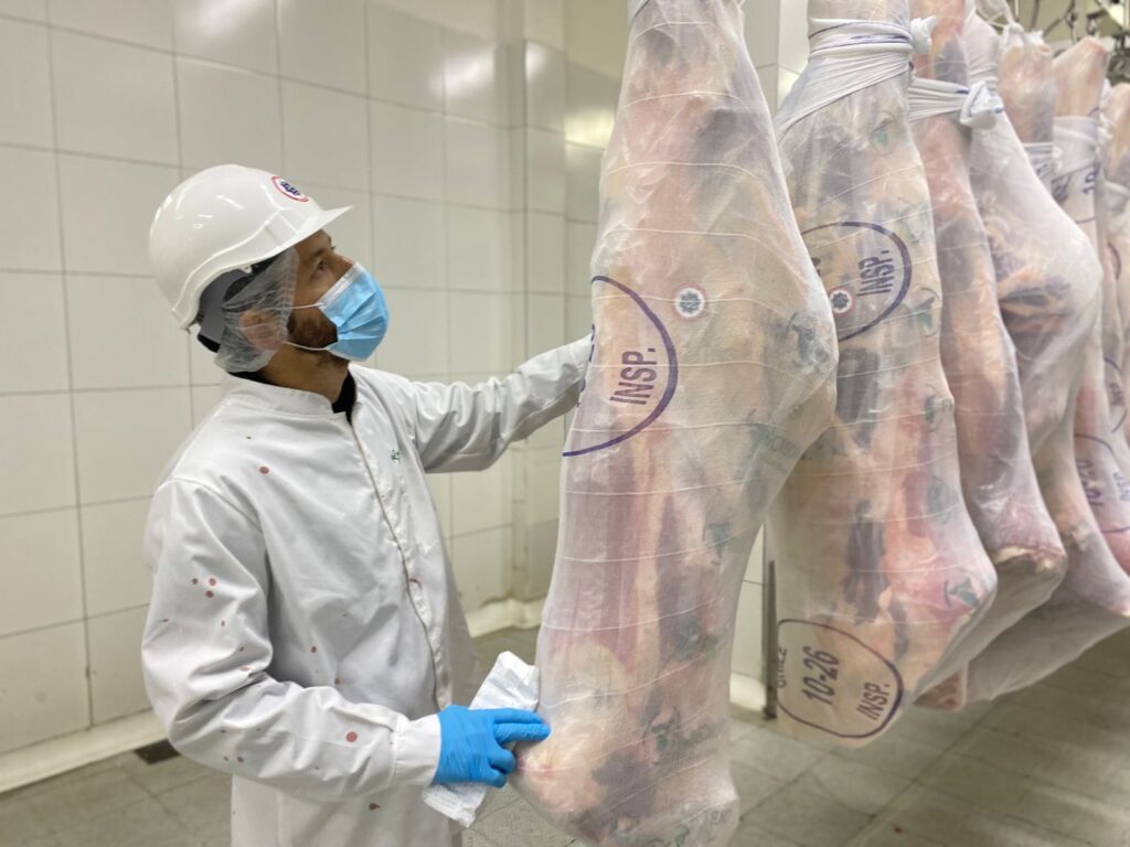 UN MATARIFE DE CHILEHALAL