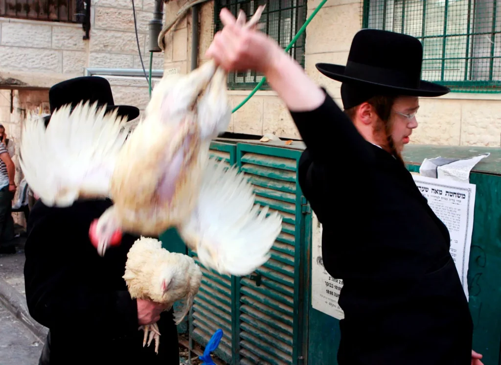 La Justicia europea permite prohibir el sacrificio halal y kosher por la protección del bienestar animal