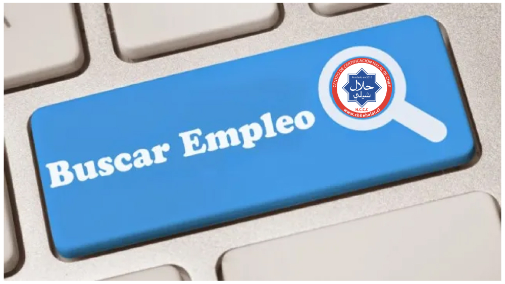 Algunos consejos antes de postular en CHILEHAL.