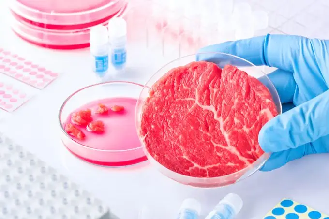 La carne de cultivo celular debe adaptarse a las creencias religiosas y culturales para su éxito comercial